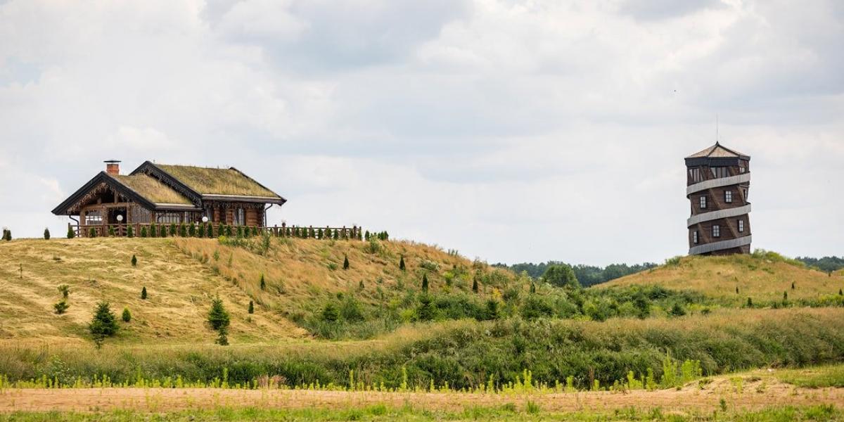 Диприз в барановичах фото